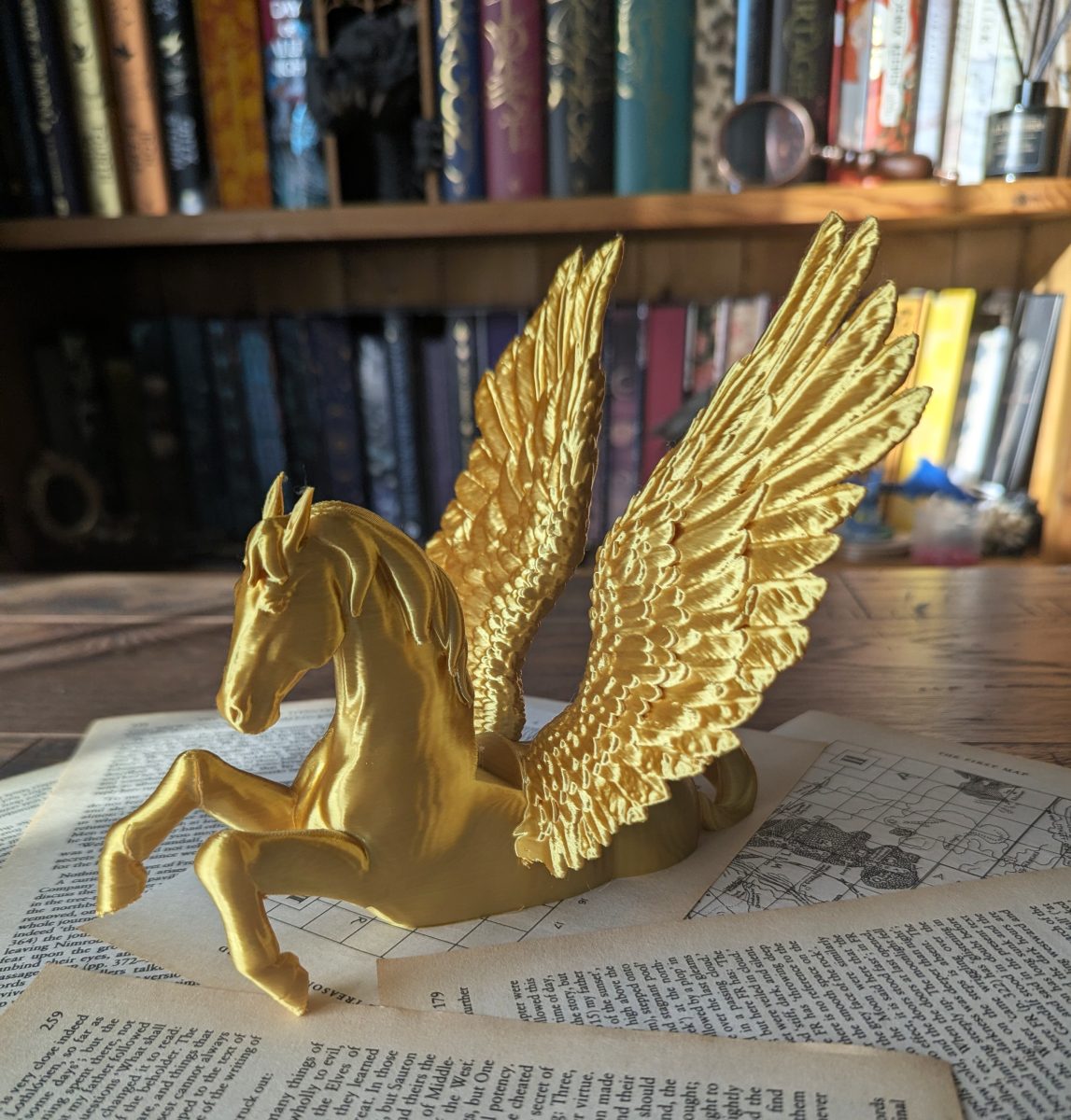 pegasus e-reader holder