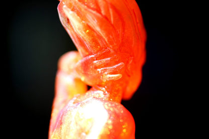 Lehabah Shelf Guardian - PREORDER