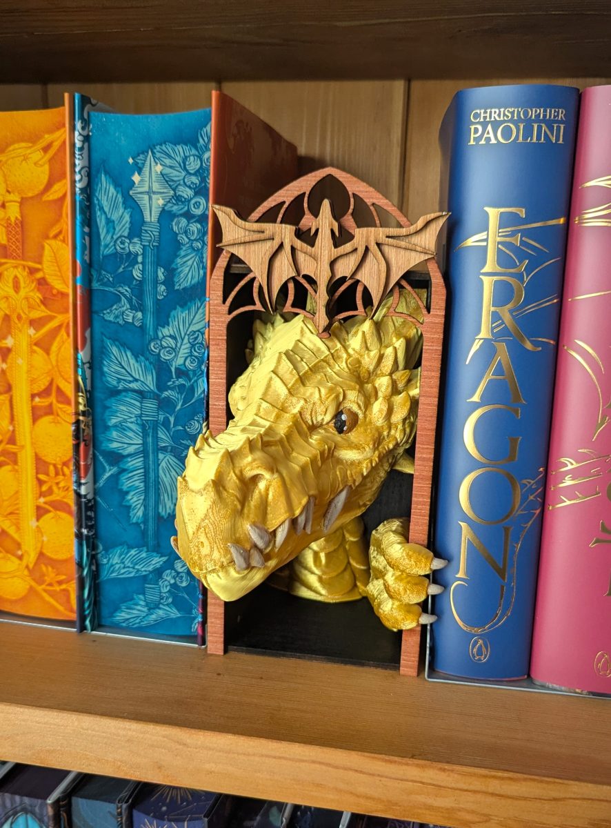 dragon head book nook
