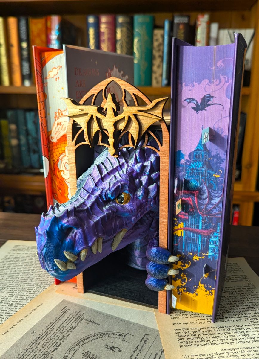 dragon head book nook