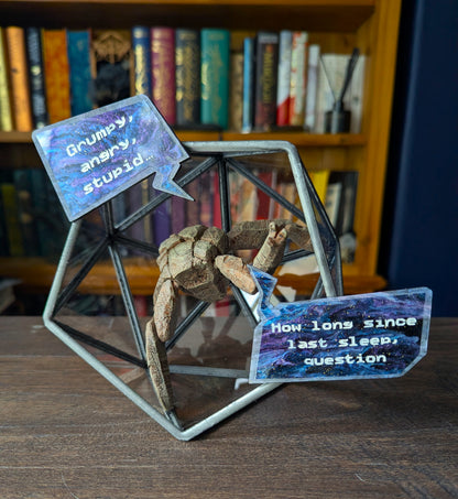 Rocky Terrarium Display – Project Hail Mary Inspired Collectible PREORDER