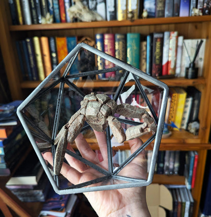 Rocky Terrarium Display – Project Hail Mary Inspired Collectible PREORDER