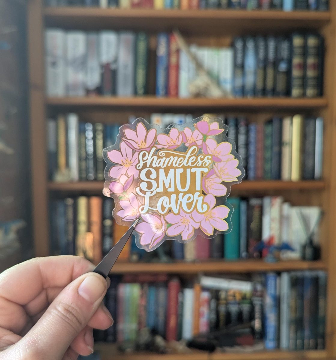Shameless smut lover Book lover translucent sticker